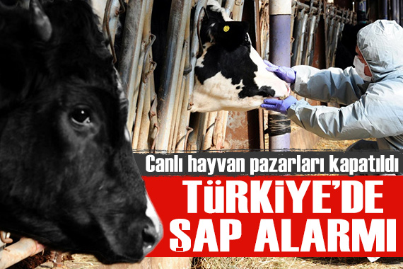 Türkiye'de şap alarmı